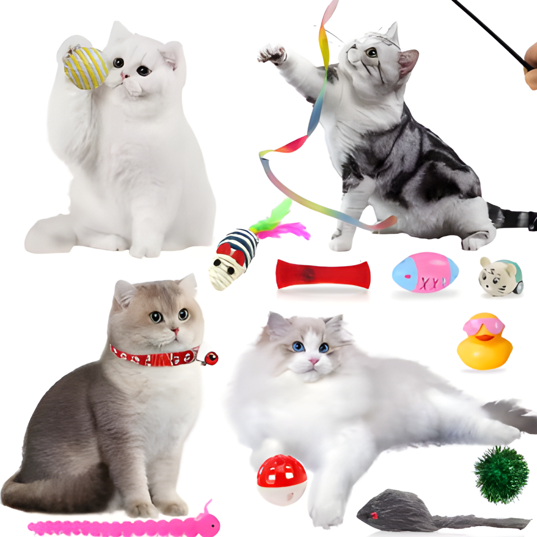 Calendario de adviento para gatos