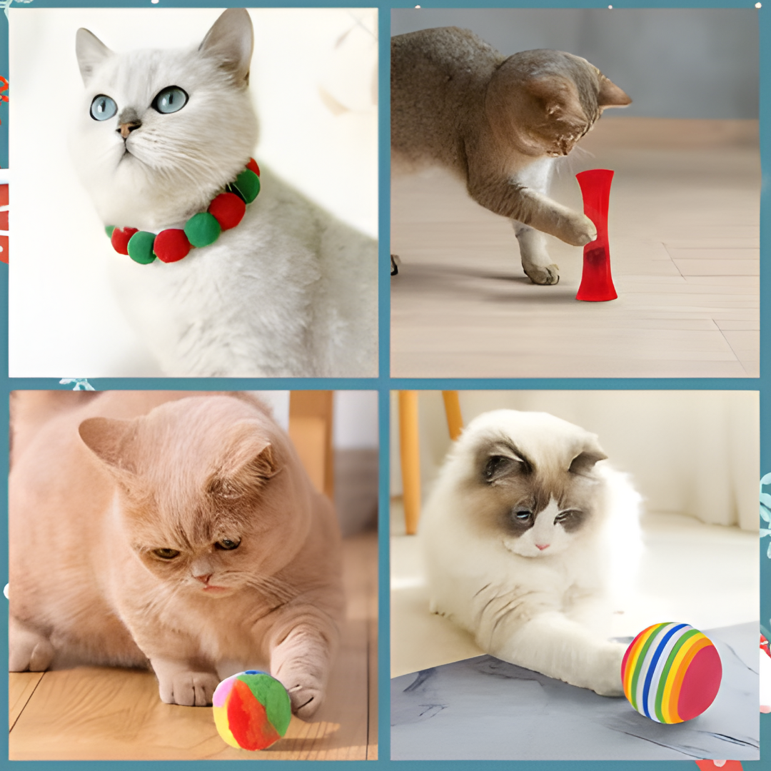 Calendario de adviento para gatos